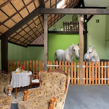 Bed & Breakfast Tijd-loos *