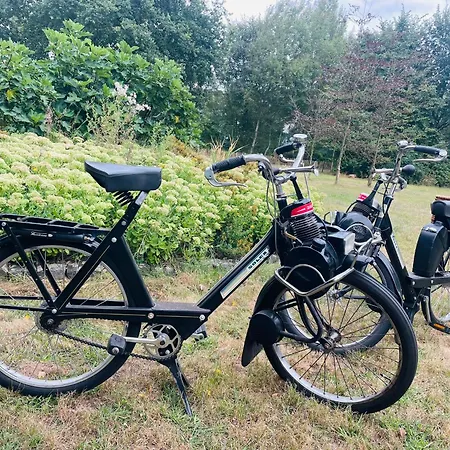 Tijd-loos