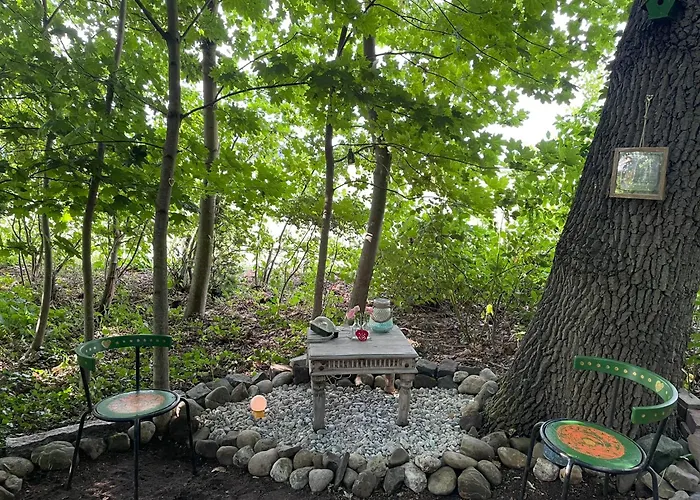 Bed & Breakfast Tijd-loos Geeste